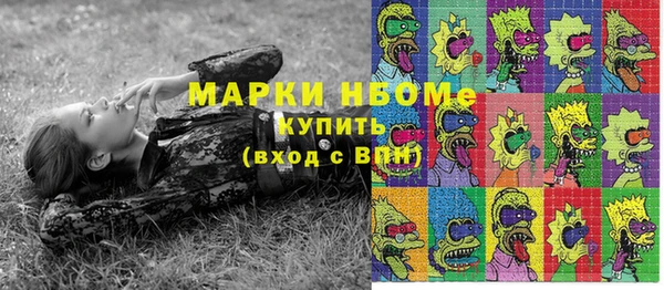 прущий лед Заводоуковск