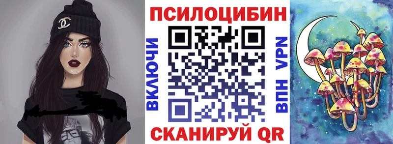 Купить где Валуйки Галлюциногенные грибы Psilocybine cubensis